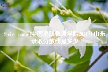鄂州中国消防救援学院2021年山东录取分数线是多少