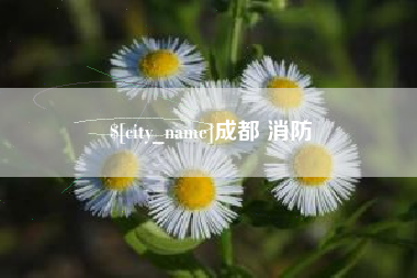 鄂州成都 消防