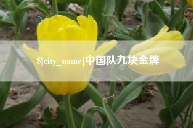 鄂州中国队九块金牌