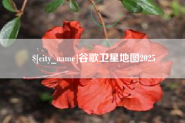 鄂州谷歌卫星地图2025