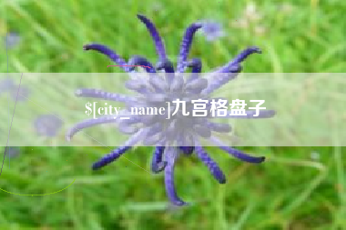 鄂州九宫格盘子