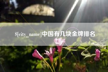 鄂州中国有几块金牌排名