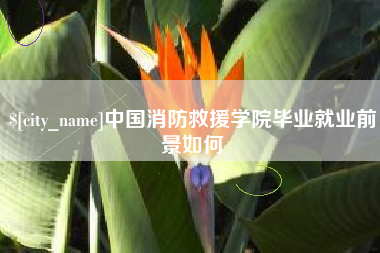 鄂州中国消防救援学院毕业就业前景如何