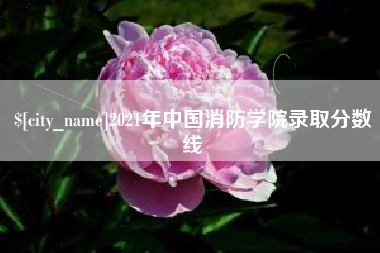 鄂州2021年中国消防学院录取分数线