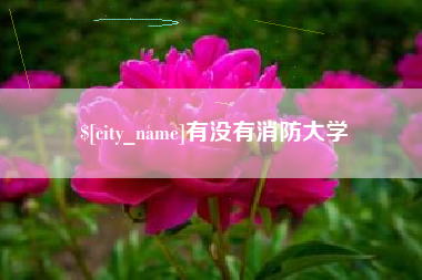 鄂州有没有消防大学