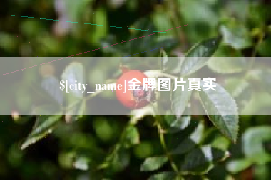 鄂州金牌图片真实