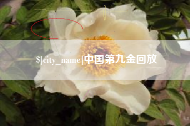 鄂州中国第九金回放