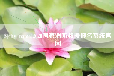 鄂州2020国家消防救援报名系统官网