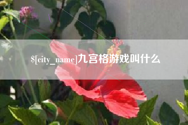 鄂州九宫格游戏叫什么