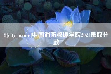 鄂州中国消防救援学院2021录取分数