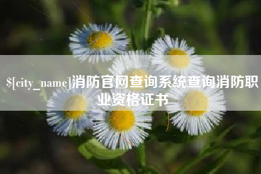 鄂州消防官网查询系统查询消防职业资格证书