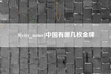 鄂州中国有哪几枚金牌