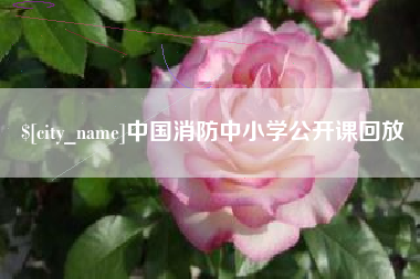 鄂州中国消防中小学公开课回放