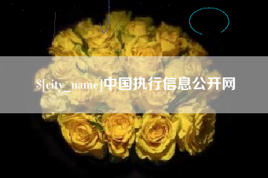 鄂州中国执行信息公开网