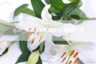 鄂州森林消防日是哪一天
