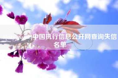 鄂州中国执行信息公开网查询失信名单