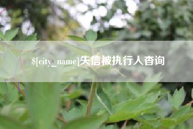 鄂州失信被执行人杳询