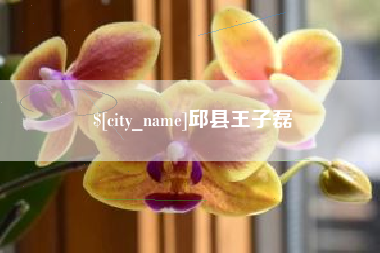 鄂州邱县王子磊