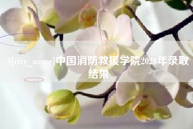 鄂州中国消防救援学院2020年录取结果