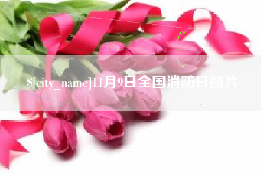 鄂州11月9日全国消防日图片