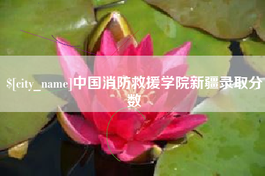 鄂州中国消防救援学院新疆录取分数