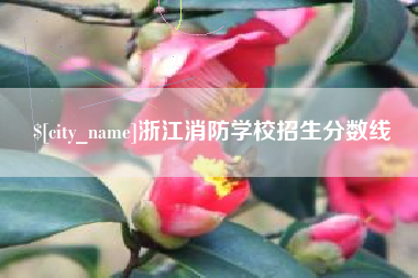 鄂州浙江消防学校招生分数线
