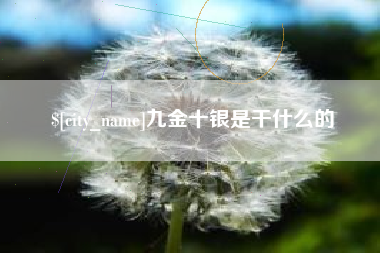鄂州九金十银是干什么的