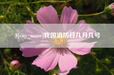 鄂州我国消防日几月几号