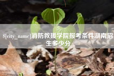 鄂州消防救援学院报考条件湖南招生多少分