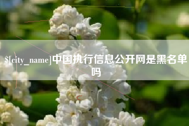 鄂州中国执行信息公开网是黑名单吗