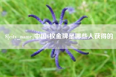 鄂州中国6枚金牌是哪些人获得的
