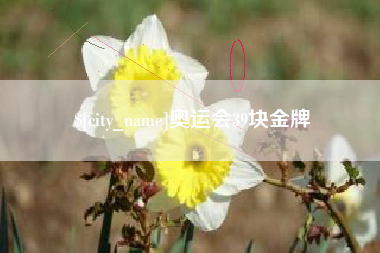 鄂州奥运会39块金牌