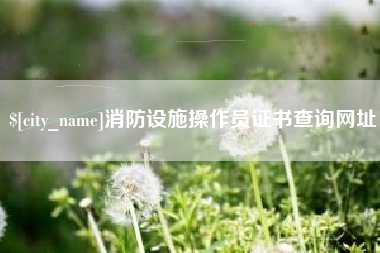 鄂州消防设施操作员证书查询网址