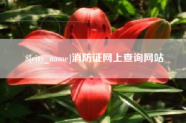 鄂州消防证网上查询网站