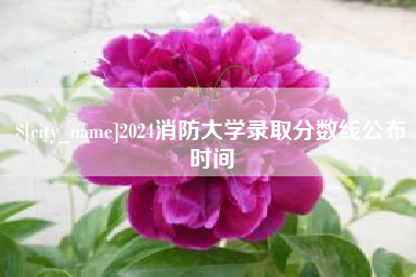 鄂州2024消防大学录取分数线公布时间