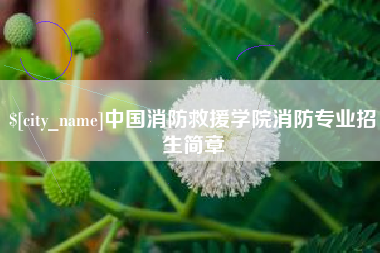 鄂州中国消防救援学院消防专业招生简章
