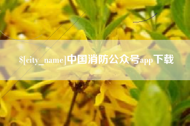 鄂州中国消防公众号app下载