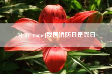 鄂州我国消防日是哪日