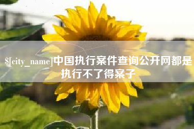 鄂州中国执行案件查询公开网都是执行不了得案子