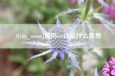 鄂州消防ccc认证什么意思