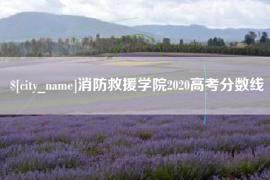 鄂州消防救援学院2020高考分数线