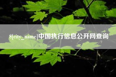 鄂州中国执行信息公开网查询