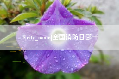 鄂州全国消防日哪一