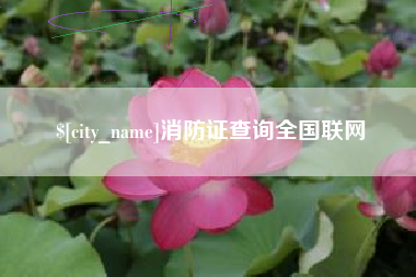 鄂州消防证查询全国联网