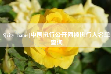 鄂州中国执行公开网被执行人名单查询