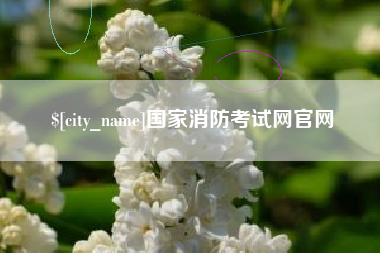 鄂州国家消防考试网官网