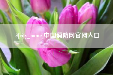 鄂州中国消防网官网入口