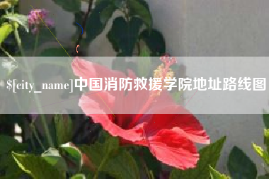 鄂州中国消防救援学院地址路线图