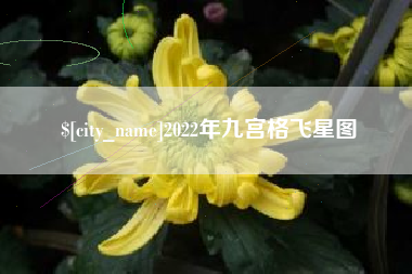 鄂州2022年九宫格飞星图