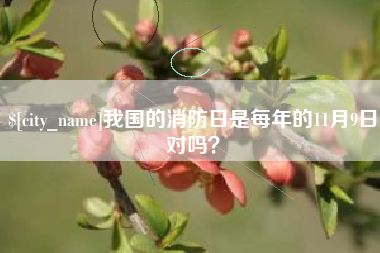 鄂州我国的消防日是每年的11月9日对吗？